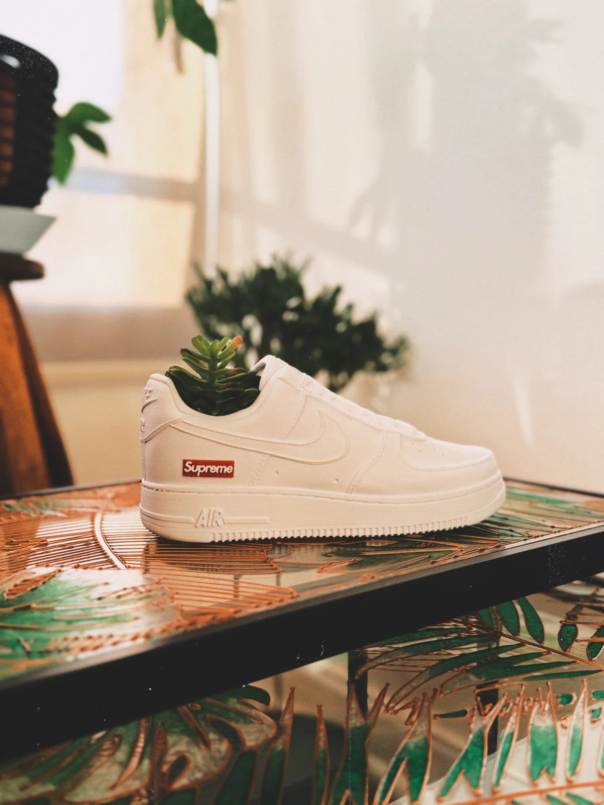 LA MACETA AF1 NIKE BOX POT